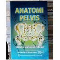 Image of ANATOMI PELVIS