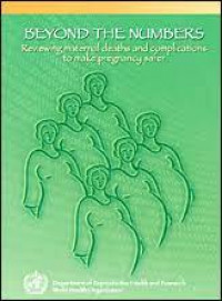 Image of BEYOND THE NUMBER: reviewing maternal deaths and complications to make pregnancy safer