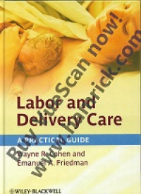 Image of LABOR AND DELIVERY CARE - A PRACTICAL GUIDE