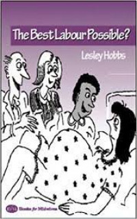 Image of The Best Labour Possible?